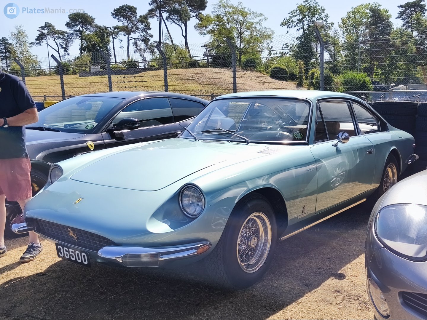 36500, Ferrari 365 365 GT 2+2 (1967–1971)