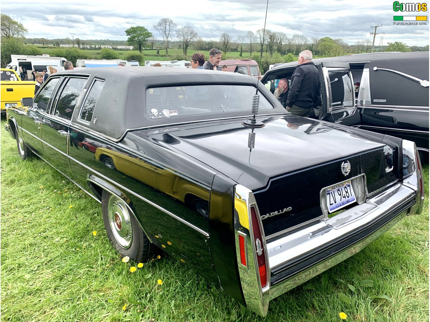 ZV 9487, Cadillac Fleetwood Limousine (33; D-body), 1976–1986