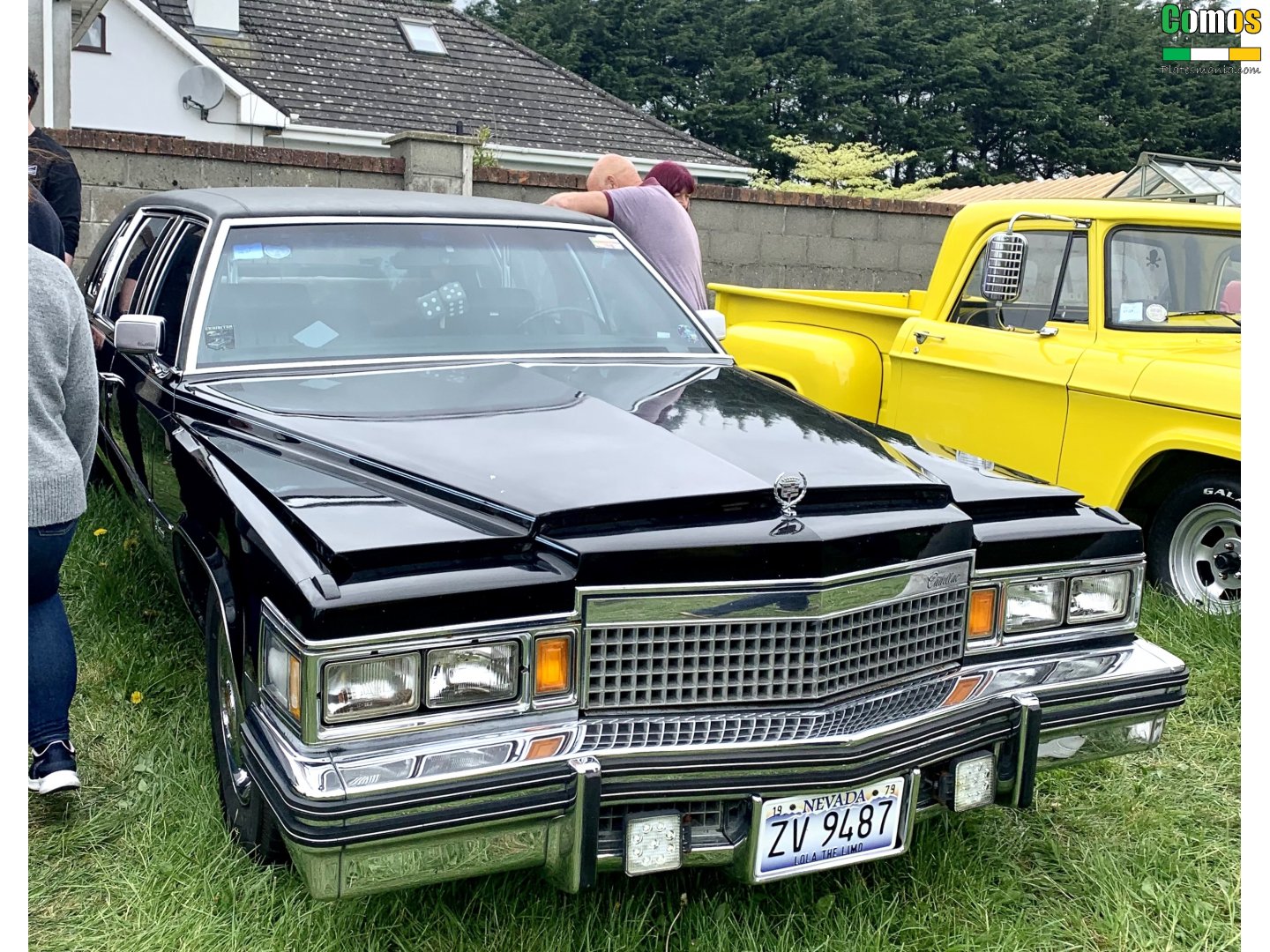 ZV 9487, Cadillac Fleetwood Limousine (33; D-body), 1976–1986