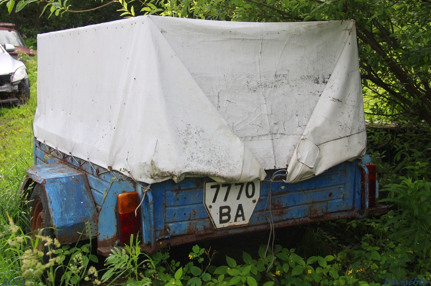 7770 ВА, Kirovets ЛКЗ 8101 