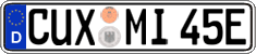 German license plate, Electric vehicles