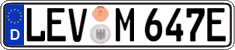 German license plate, Electric vehicles