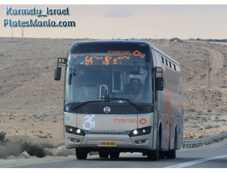 319-06-603, Golden Dragon XML6121