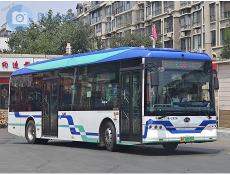 鲁A·03181D, BYD ebus
