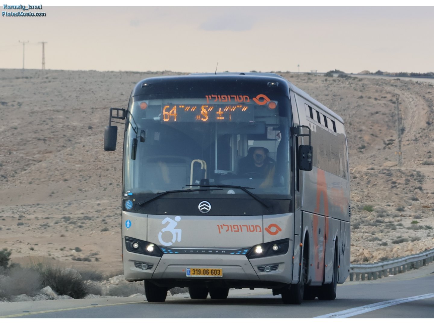 319-06-603, Golden Dragon XML6121 