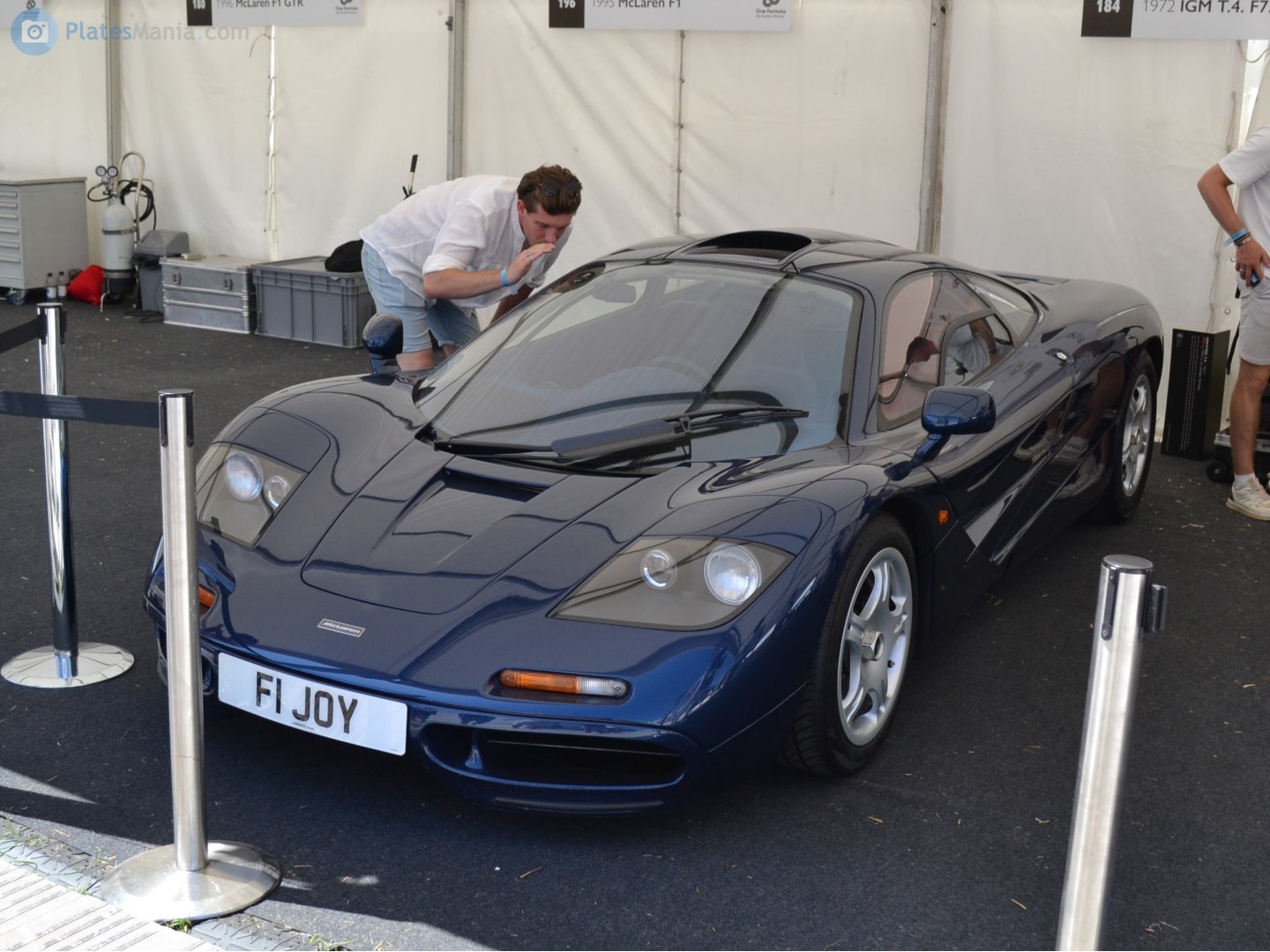 F1JOY, McLaren F1 F1, 1993–1998