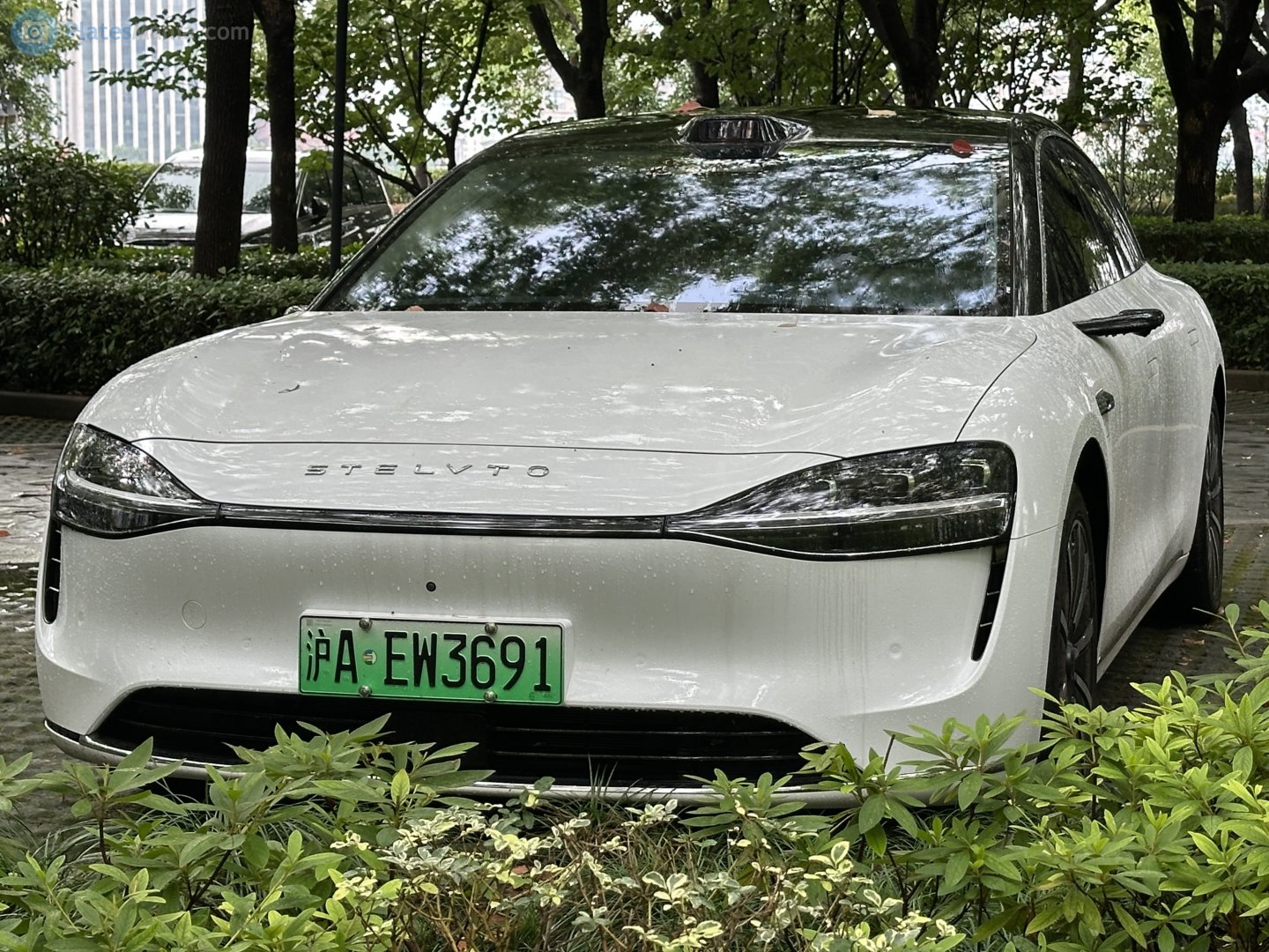 沪A·EW3691, Stelato S9 