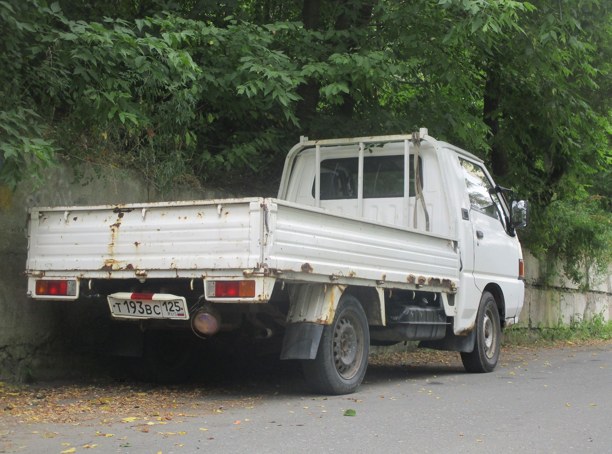 т 193 вс 125, Mitsubishi Delica 3rd gen Truck, 1994–1999