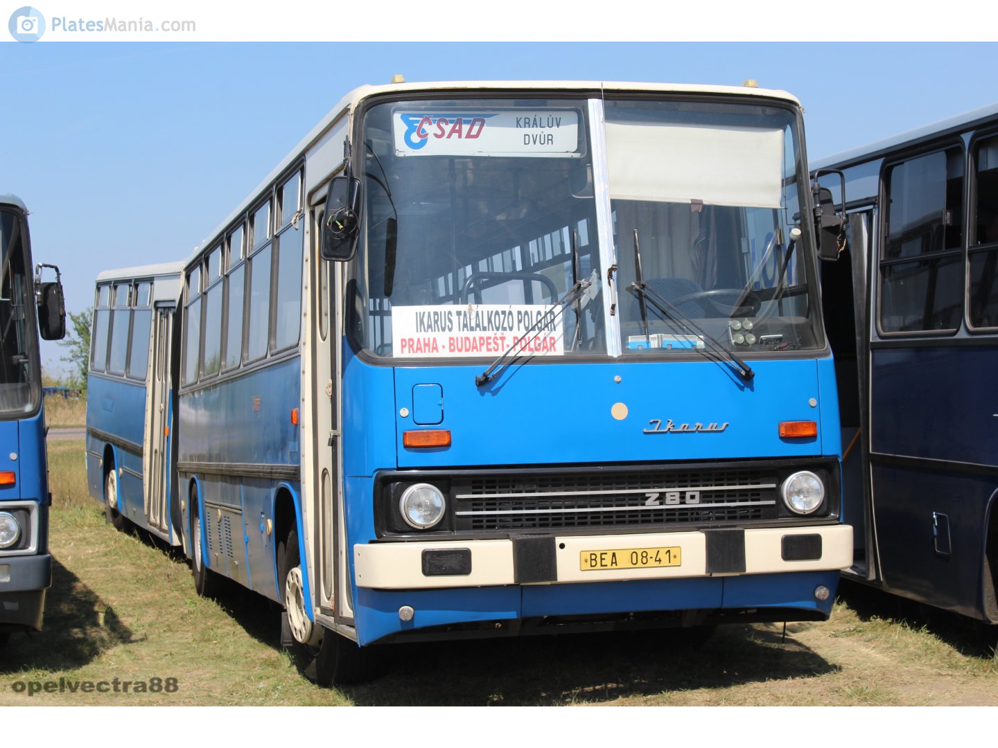 BEA 08-41, Ikarus 280 