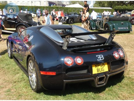 XP55 BUG, Bugatti Veyron