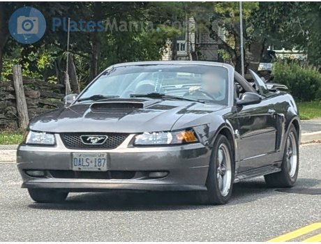 DALS-187, Ford Mustang