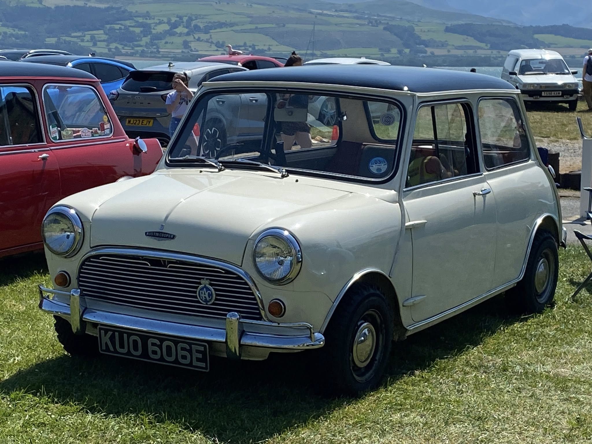 KUO606E, Austin Mini 