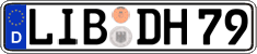 German license plate, Regular plates