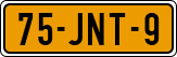 License plate of the Netherlands, Cars