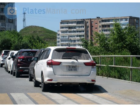 к890св125, Toyota Corolla Fielder