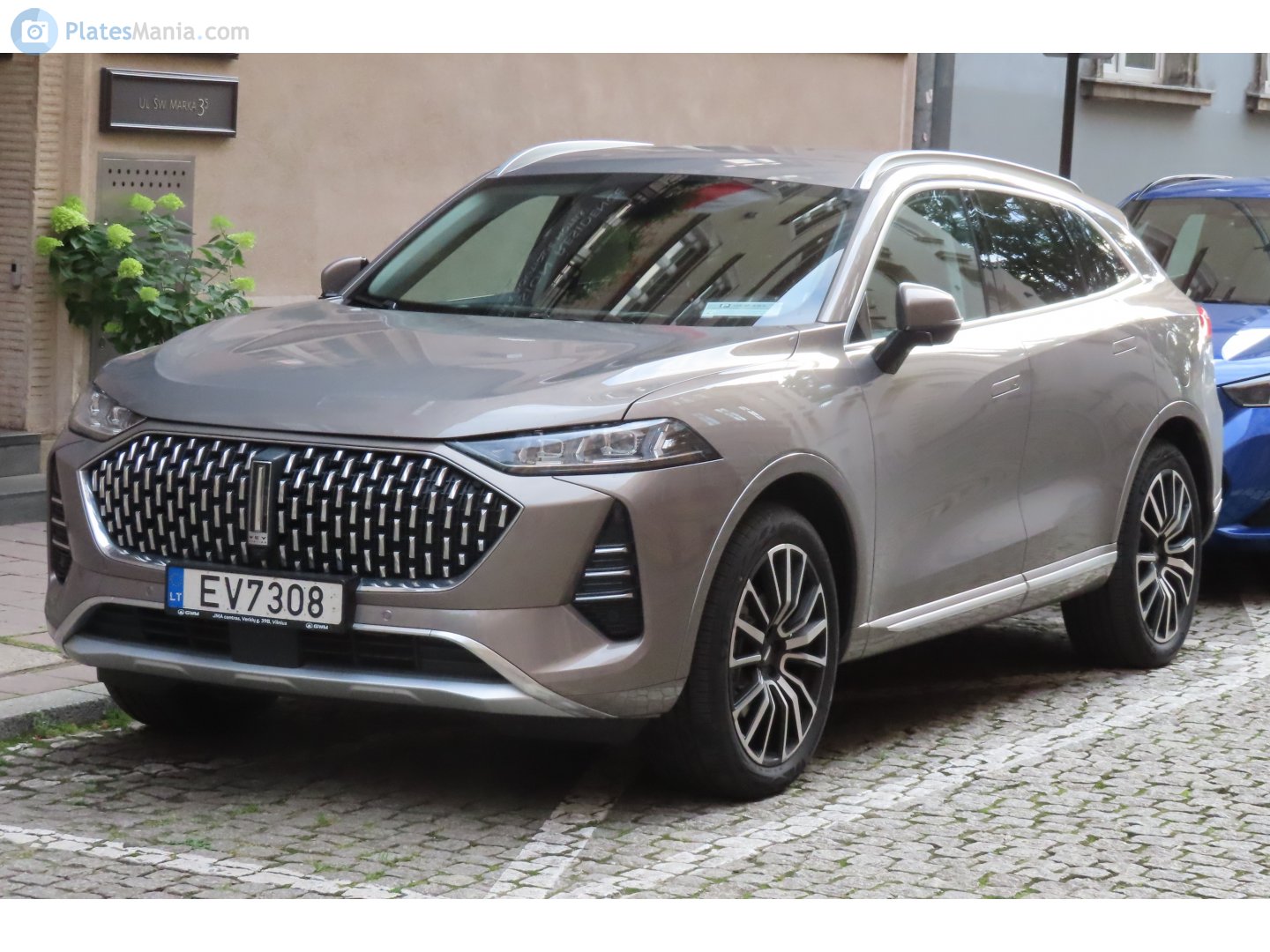 EV7308, WEY 05 (Mocha/Coffee 01) 