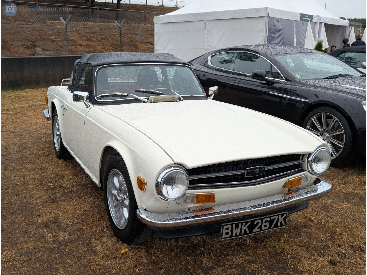 BWK267K, Triumph TR6 