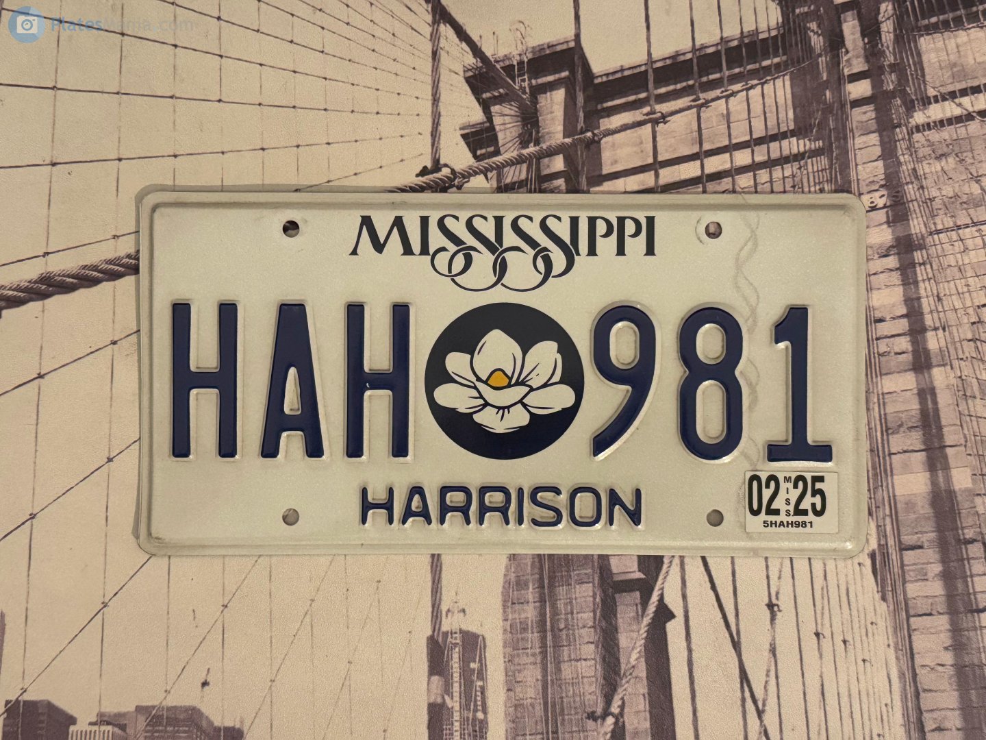 HAH 981, License plate without vehicle 