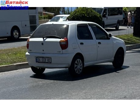 34 CCD 82, FIAT Palio