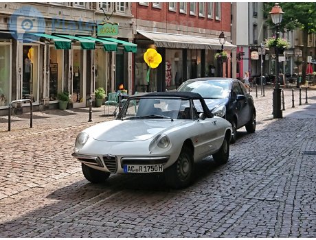 AC R 1750H, Alfa Romeo Spider