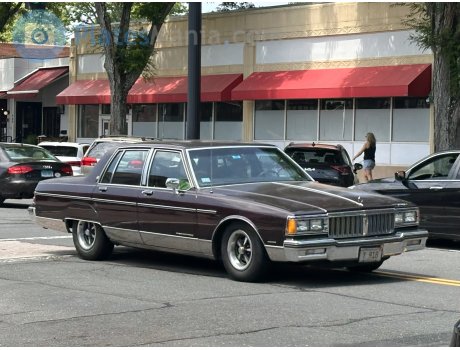 Y 918, Pontiac Parisienne