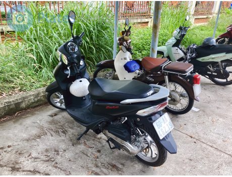 60-AA 482.19, SYM Shark