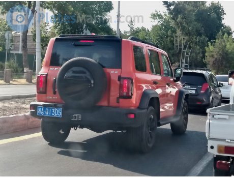 湘A·Q13D5, WEY Tank 300