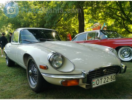 OT 22-50, Jaguar E-Type