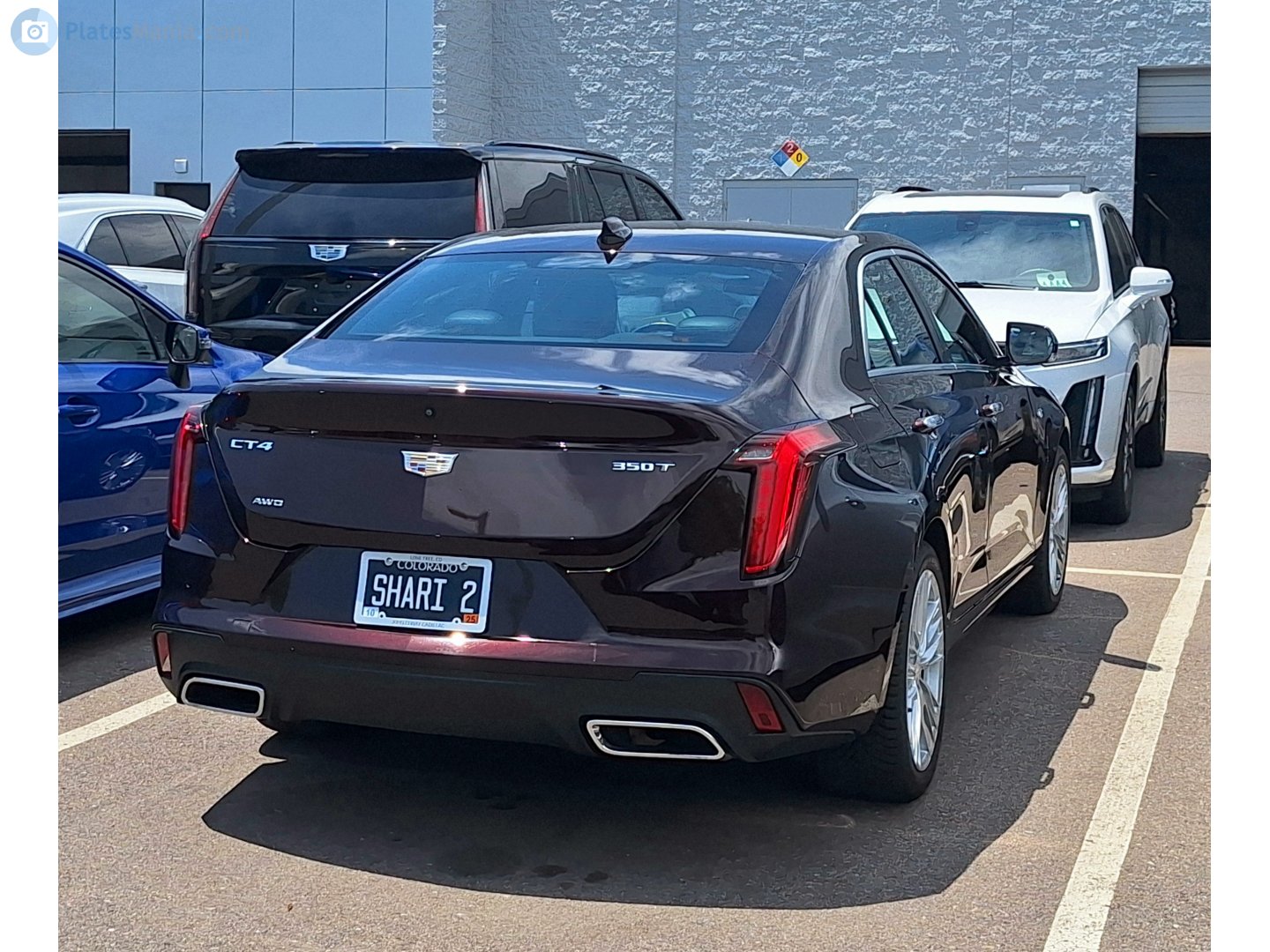 SHARI 2, Cadillac CT4 1st gen (Alpha), 2019­–