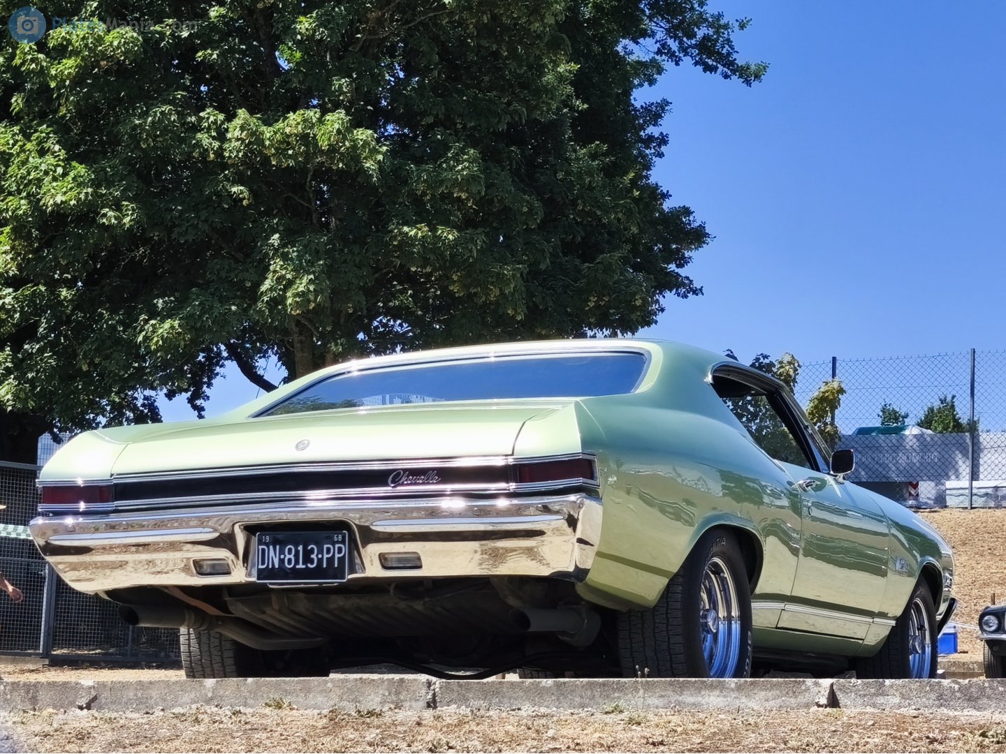 DN-813-PP, Chevrolet Chevelle 2nd gen 1968 2-door Hardtop (27/37; A-body), 1967–1968