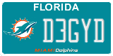 Florida, Specialty plates (XXXXX)