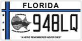 Florida, Specialty plates (XXXXX)