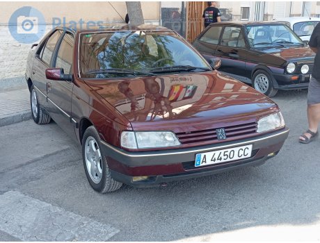 A 4450 CC, Peugeot 405