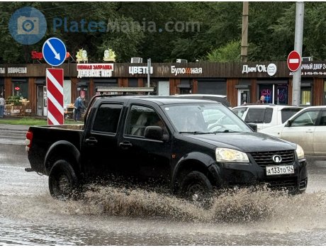 а133то124, Great Wall (GWM) Fengjun/Steed/Wingle