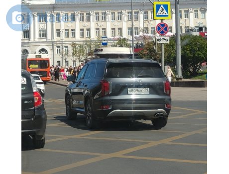 х809кк799, Hyundai Palisade