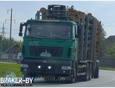 AM 6660-3, MAZ 6312