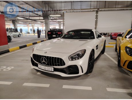 ‎٨١‎ ‎د ل ع‎ / 81 ELD, Mercedes-Benz AMG GT