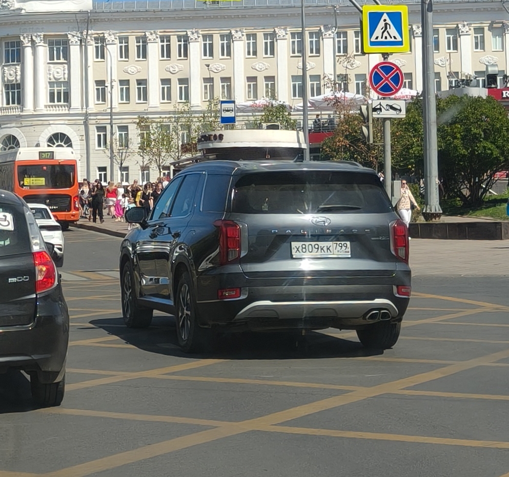 х 809 кк 799, Hyundai Palisade 1st gen (LX2), 2019–2022