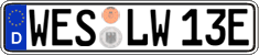 German license plate, Electric vehicles