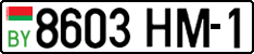 License plate Belarus, Cars (2004)