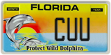 Florida, Vanity Plates