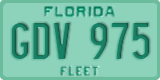 Florida, Fleet