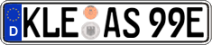 German license plate, Electric vehicles