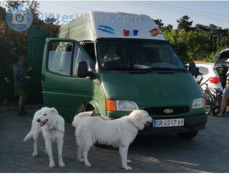 GR 4917 AV, Ford Transit
