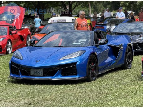 STINGROB, Chevrolet Corvette