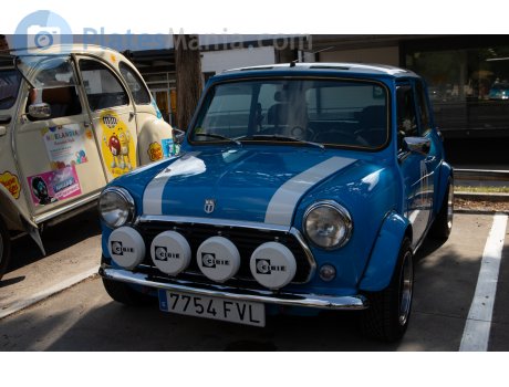 7754 FVL, Rover Mini