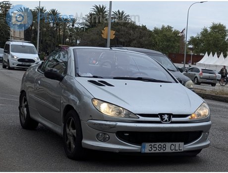 3598 CLL, Peugeot 206