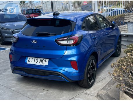 8110 NDF, Ford Puma