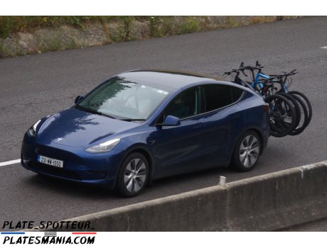 231-WW-1550, Tesla Model Y