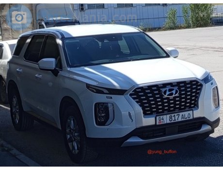 04 817 ALO, Hyundai Palisade